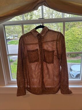 Anthropologie Bronze Sequin Sheer Button-Down Shirt